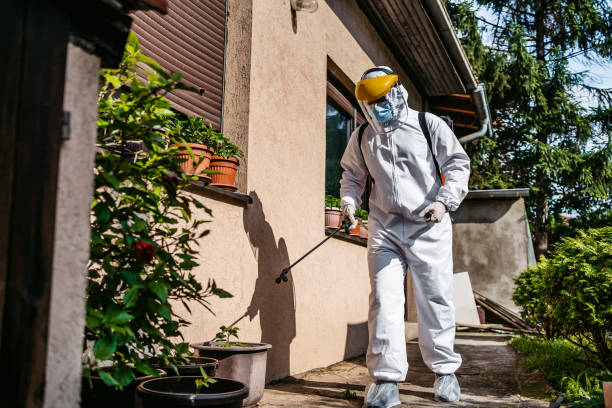 Best Emergency Pest Control  in Fellsburg, PA