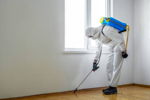 Best Wildlife Control Services  in Fellsburg, PA