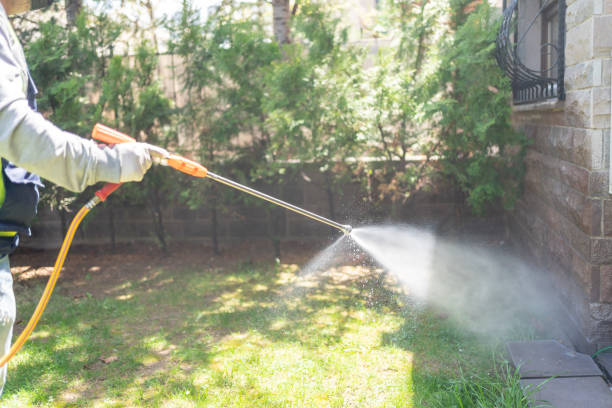 Best Wasp Removal Services  in Fellsburg, PA