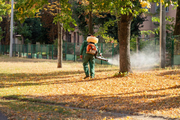 Best Local Pest Control Services  in Fellsburg, PA