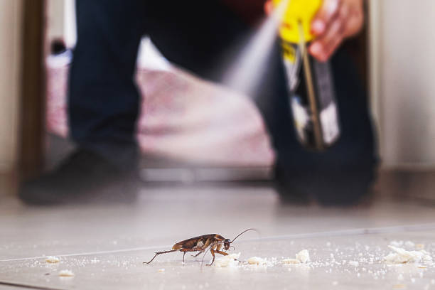 Best Pest Removal Services  in Fellsburg, PA