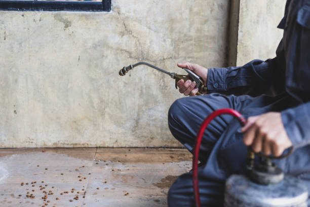 Professional Pest Control in Fellsburg, PA